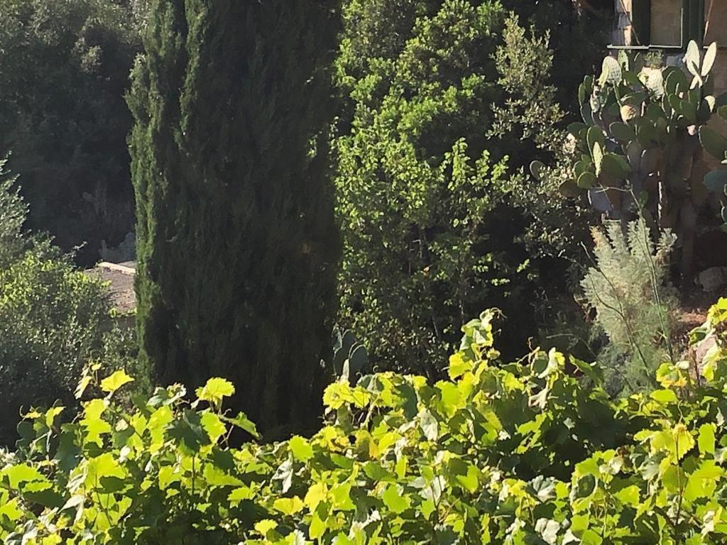 Vistalago Garden Doria Monteleone Rocca Doria Екстер'єр фото