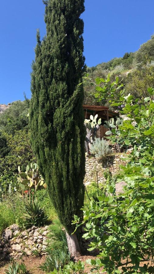 Vistalago Garden Doria Monteleone Rocca Doria Екстер'єр фото