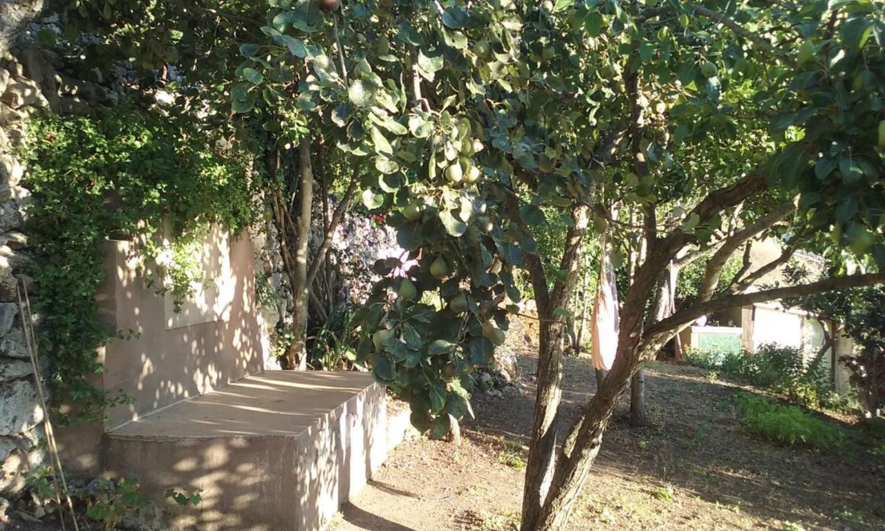 Vistalago Garden Doria Monteleone Rocca Doria Екстер'єр фото