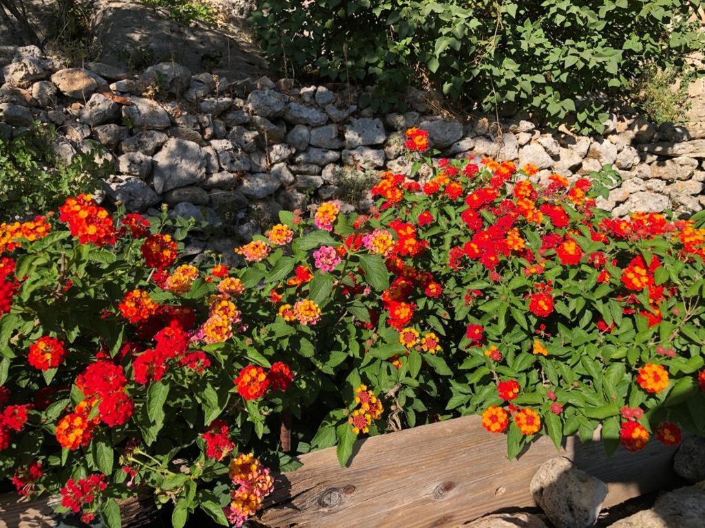 Vistalago Garden Doria Monteleone Rocca Doria Екстер'єр фото